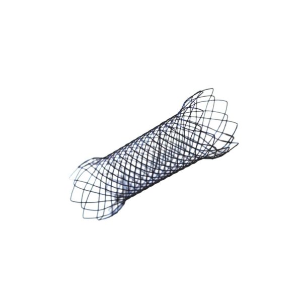 Duodenal Stent